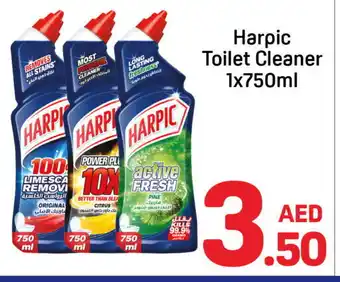 Day To Day HARPIC Toilet / Drain Cleaner offer