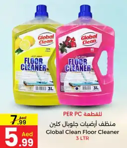 Ms Max Global Clean Floor Cleaner offer