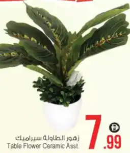 Ansar Mall Table Flower Ceramic Asst. offer
