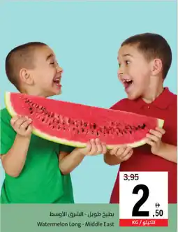 Sharjah Co-op Watermelon Long Middle East offer