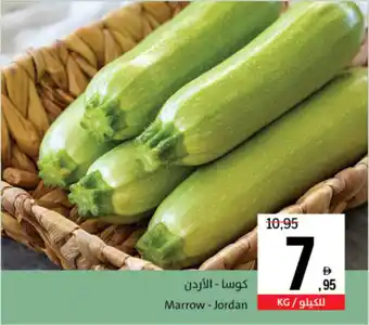 Sharjah Co-op Marrow Jordan offer