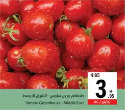 Sharjah Co-op Tomato Greenhouse Middle East offer