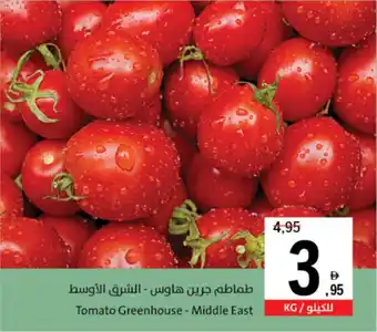 Sharjah Co-op Tomato Greenhouse Middle East offer
