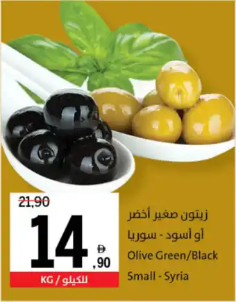 Sharjah Co-op Olive Green / Black Small Syria offer