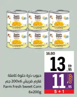 Sharjah Co-op Farm Fresh Sweet Corn offer