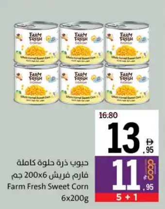 Sharjah Co-op Farm Fresh Sweet Corn offer