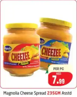 Delta Centre Magnolia Cheese Spread Asstd offer