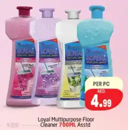 Delta Centre Loyal Multipurpose Floor Cleaner Asstd offer