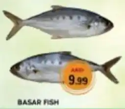 M Citymart Basar fish offer