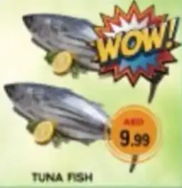 M Citymart Tuna fish offer