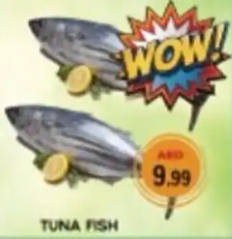 M Citymart Tuna fish offer