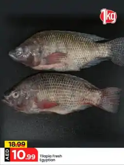 Mark & Save Tilapia Fresh Egyptian offer