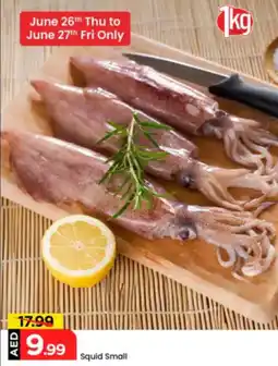 Mark & Save Squid Small offer