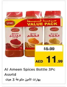 Nesto AL AMEEN Spices / Masala offer