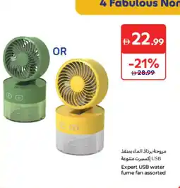 Carrefour Expert USB water fume fan assorted offer