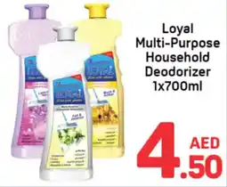 Day To Day Loyal Multi-Purpose Household Deodorizer offer
