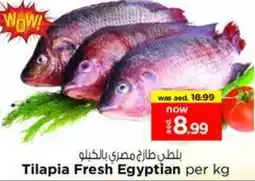 Nesto Tilapia Fresh Egyptian offer