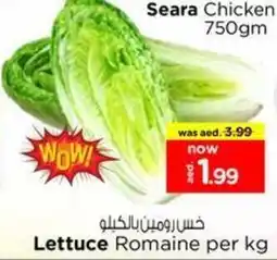 Nesto Lettuce Romaine offer