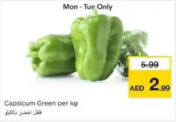 Nesto Capsicum Green offer
