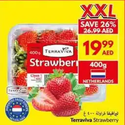 Viva Terraviva Strawberry offer