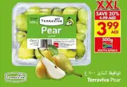 Viva Terraviva Pear offer