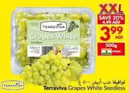 Viva Terraviva Grapes White Seedless offer