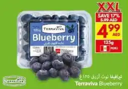 Viva Terraviva Blueberry offer