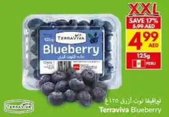 Viva Terraviva Blueberry offer