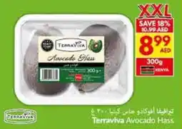 Viva Terraviva Avocado Hass offer