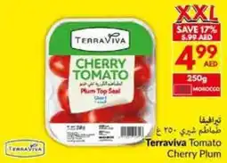 Viva Terraviva Tomato Cherry Plum offer