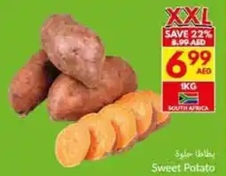 Viva Sweet Potato offer