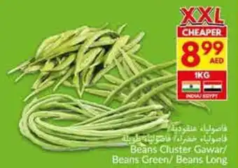 Viva Beans Cluster Gawar / Beans Green / Beans Long offer