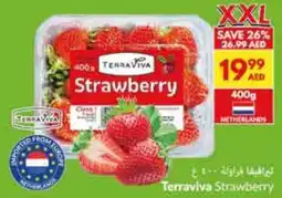 Viva Terraviva Strawberry offer