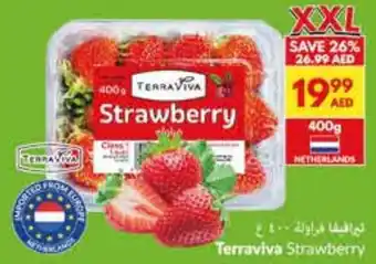 Viva Terraviva Strawberry offer