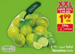 Viva Terraviva Lime offer