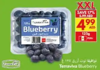 Viva Terraviva Blueberry offer