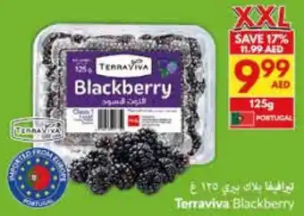 Viva Terraviva Blackberry offer