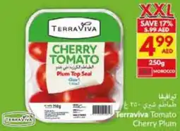 Viva Terraviva Tomato Cherry Plum offer
