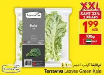 Viva Terraviva Leaves Green Kale offer