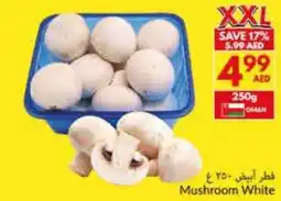 Viva Mushroom White offer