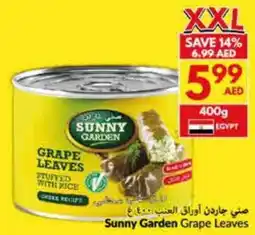 Viva Sunny Garden Grape Leaves offer