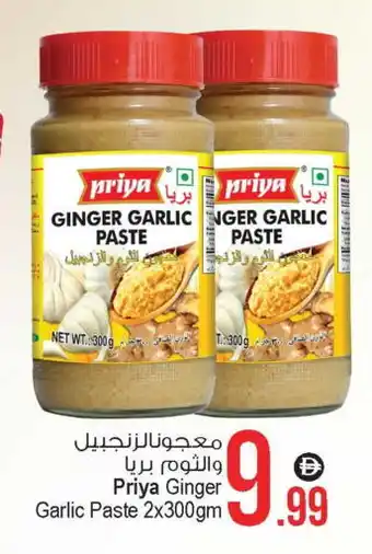 Ansar Gallery PRIYA Garlic Paste offer