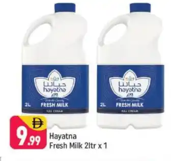 Shaklan HAYATNA Full Cream Milk offer