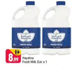 Shaklan HAYATNA Full Cream Milk offer