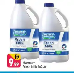 Shaklan MARMUM Full Cream Milk offer