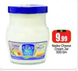 Bigmart NADEC Cream Cheese offer