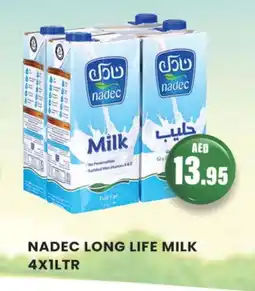 Zain Hypermarket NADEC Long Life / UHT Milk offer