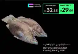 Carrefour Barramundi offer