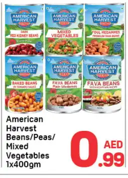 Day To Day AMERICAN HARVEST Baked Beans offer