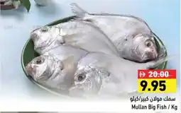 Aswaq Ramez Mullan Big Fish offer